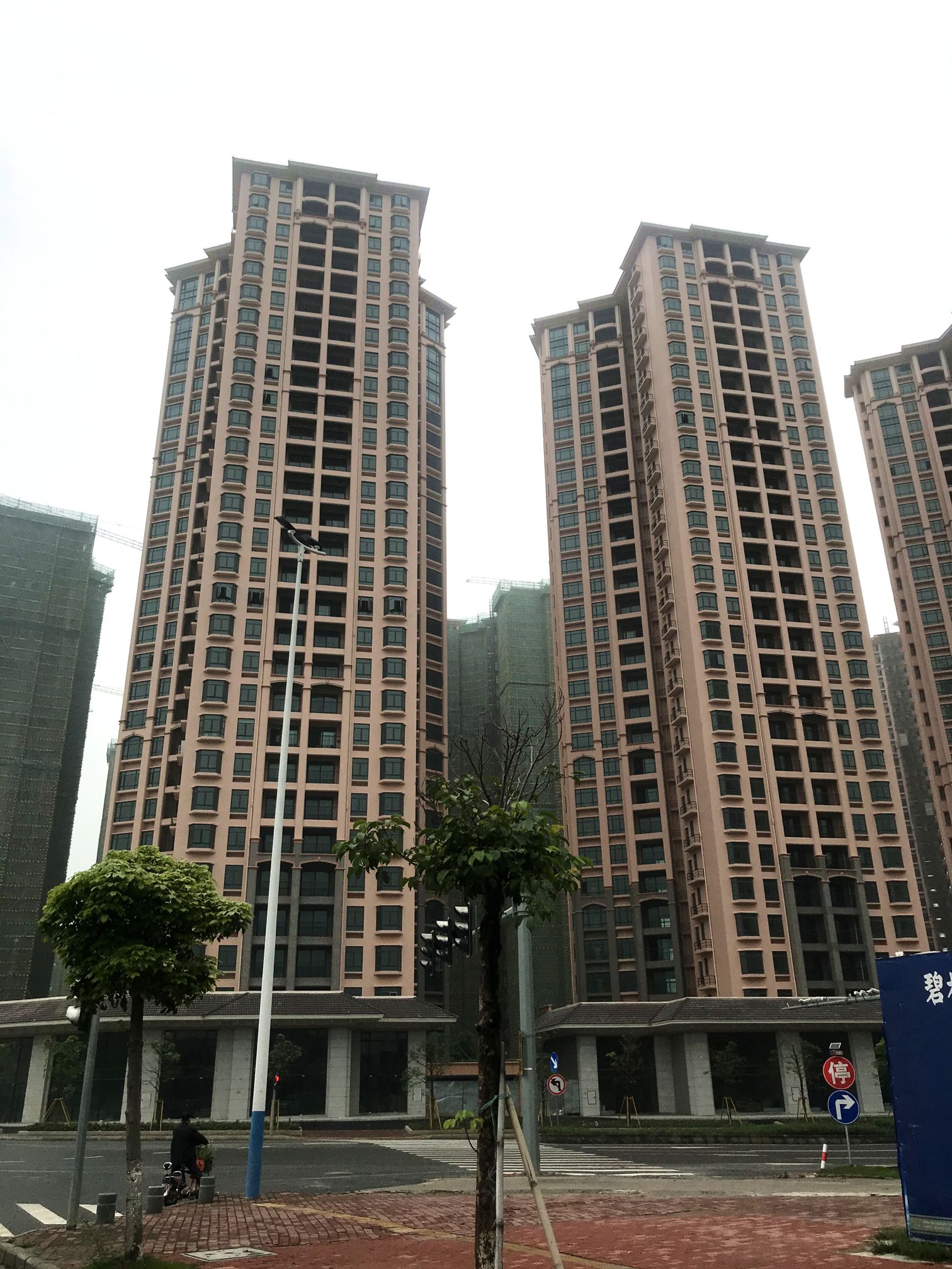 Gaoming donghuzhou Garden