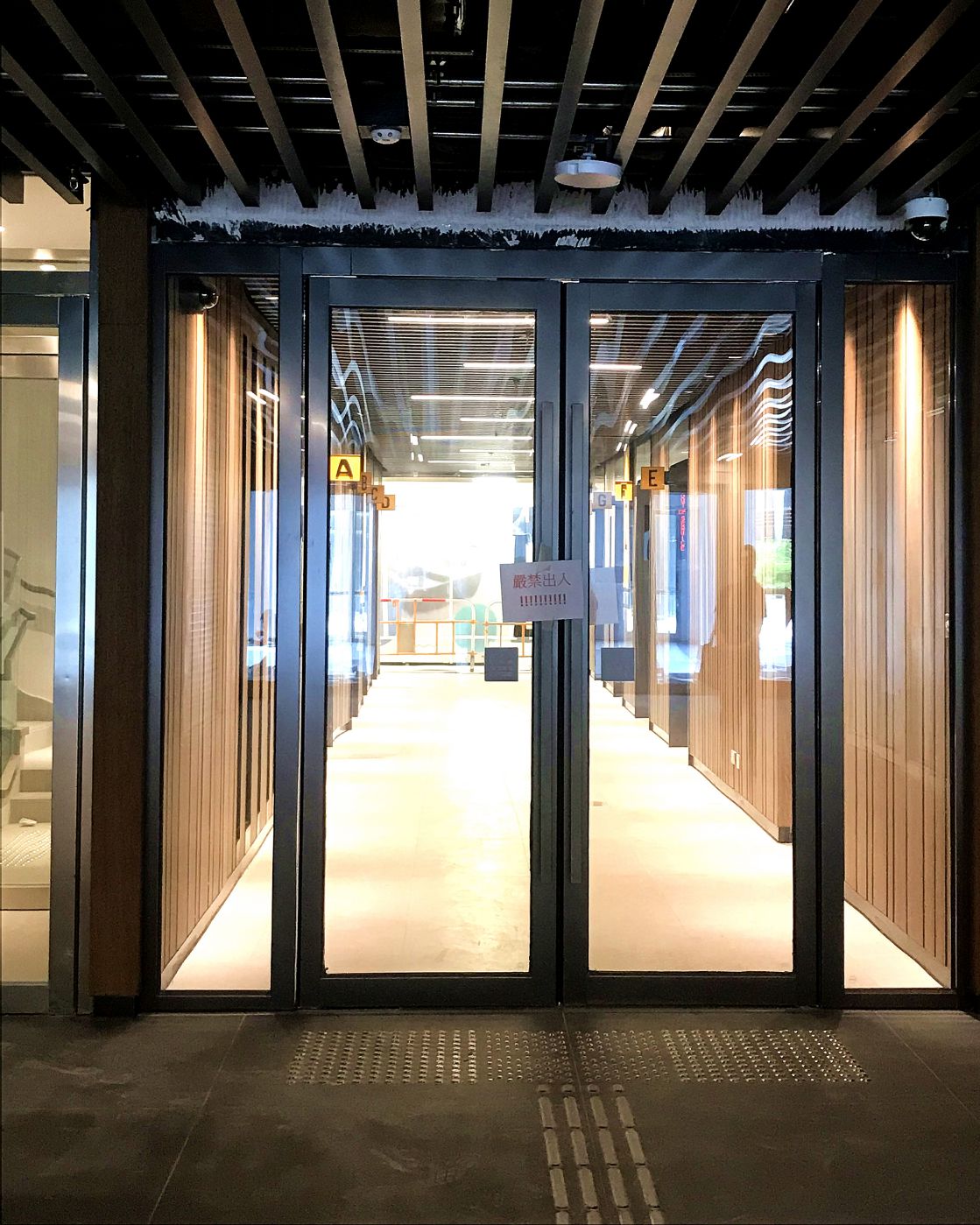 Fire door and partition system (black steel in san